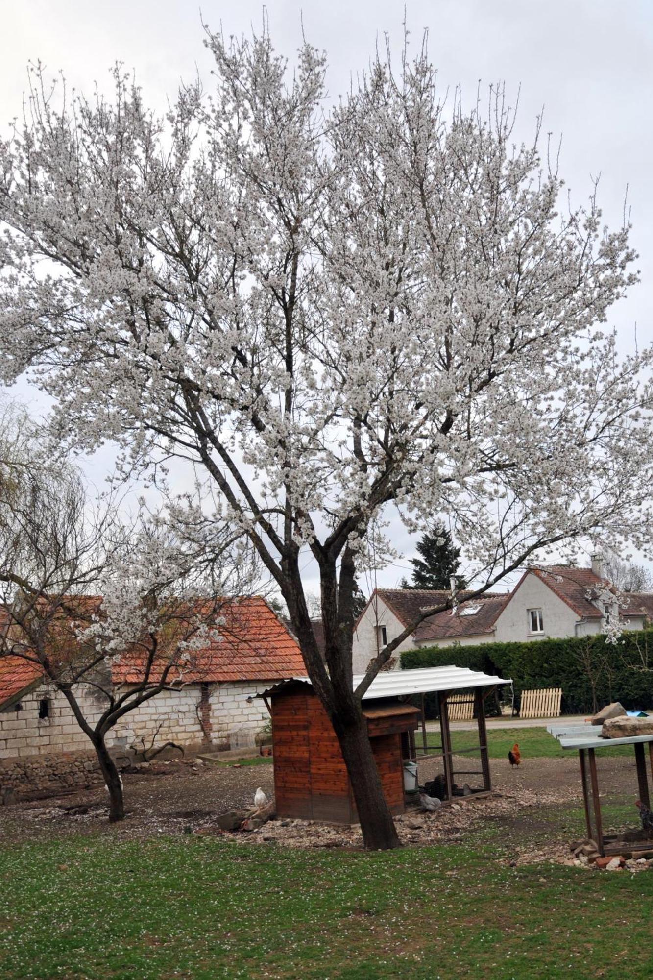 La Ferme De Flo' Βίλα Evry  Εξωτερικό φωτογραφία
